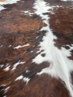 Rinderfell Normandie Tricolor #FR1869QM574