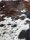 Rinderfell Normandie Tricolor #FR1870QM562
