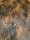 Rinderfell Normandie Tricolor #FR1870QM562