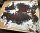Rinderfell Normandie Tricolor #FR1873QM569