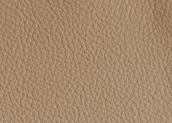 Universal, Rindsleder, pigmentiert, gepr&auml;gt beige