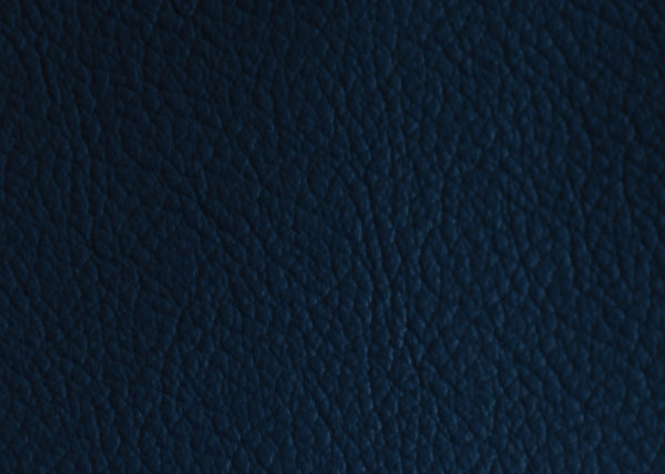 Universal, Rindsleder, pigmentiert, gepr&auml;gt navy GREEN GEISER